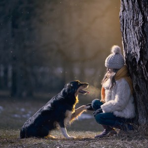 fotka dievčatka opierajúceho sa o strom a psa border collie podávajúceho mu labku